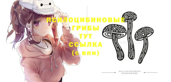спиды Балахна